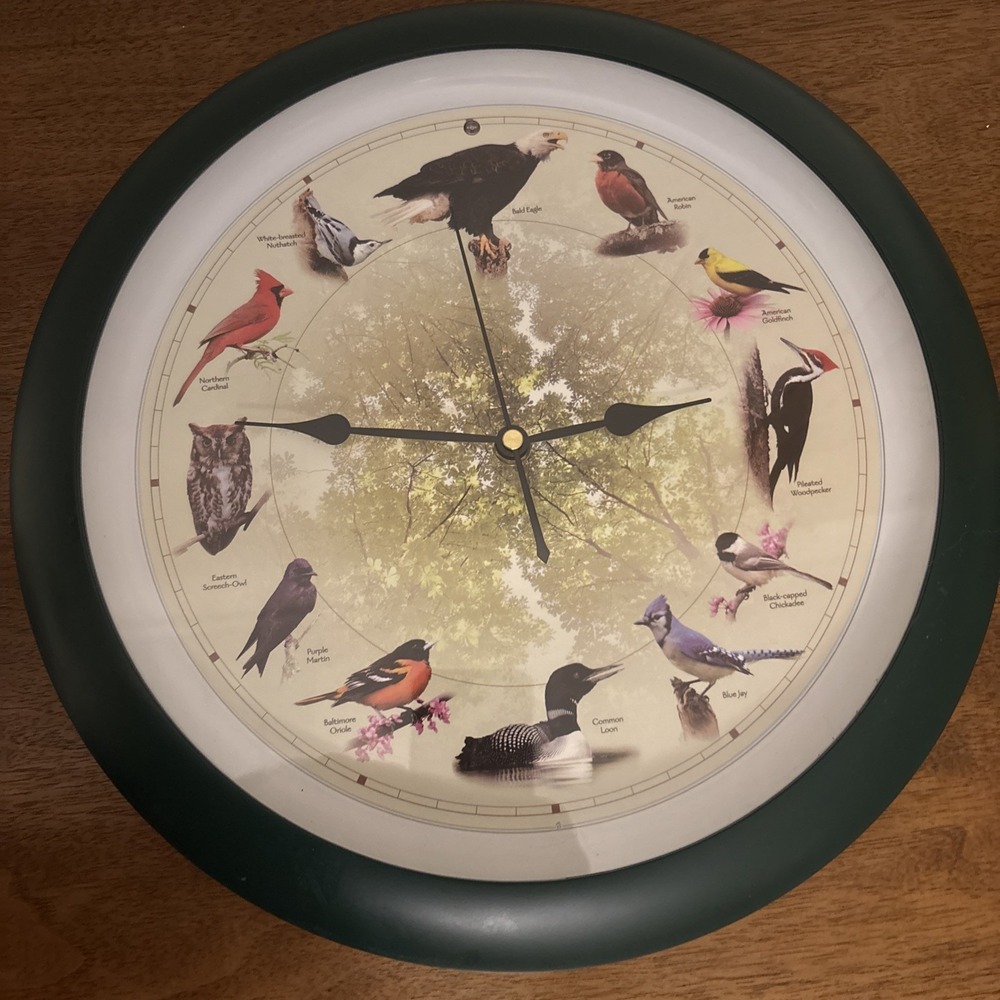 Bird Species Wall Clock w/ Birdsong Chimes Quartz Green Frame 13" D Blue Jay